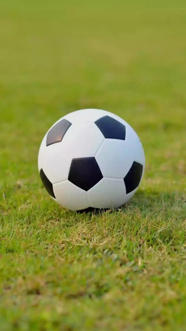 体育媒体专业数据服务